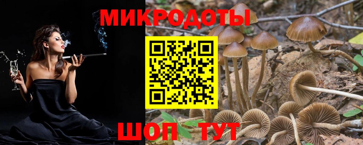 ЭКСТАЗИ  Вход с VPN  КОКАИН  Меф МЯУ МЯУ   Камышлов  ГАШ 
