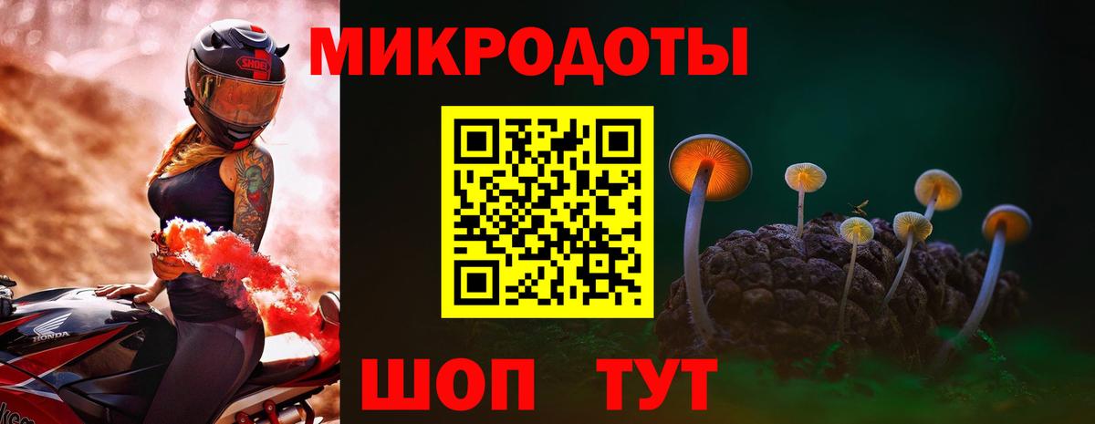 Псилоцибиновые грибы Magic Shrooms Камышлов