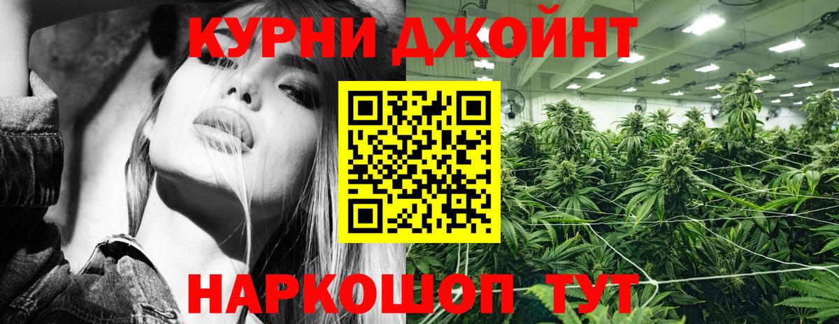 Конопля Bruce Banner Камышлов